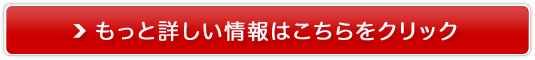 ���C�X�p���[�̔��T�C�g��